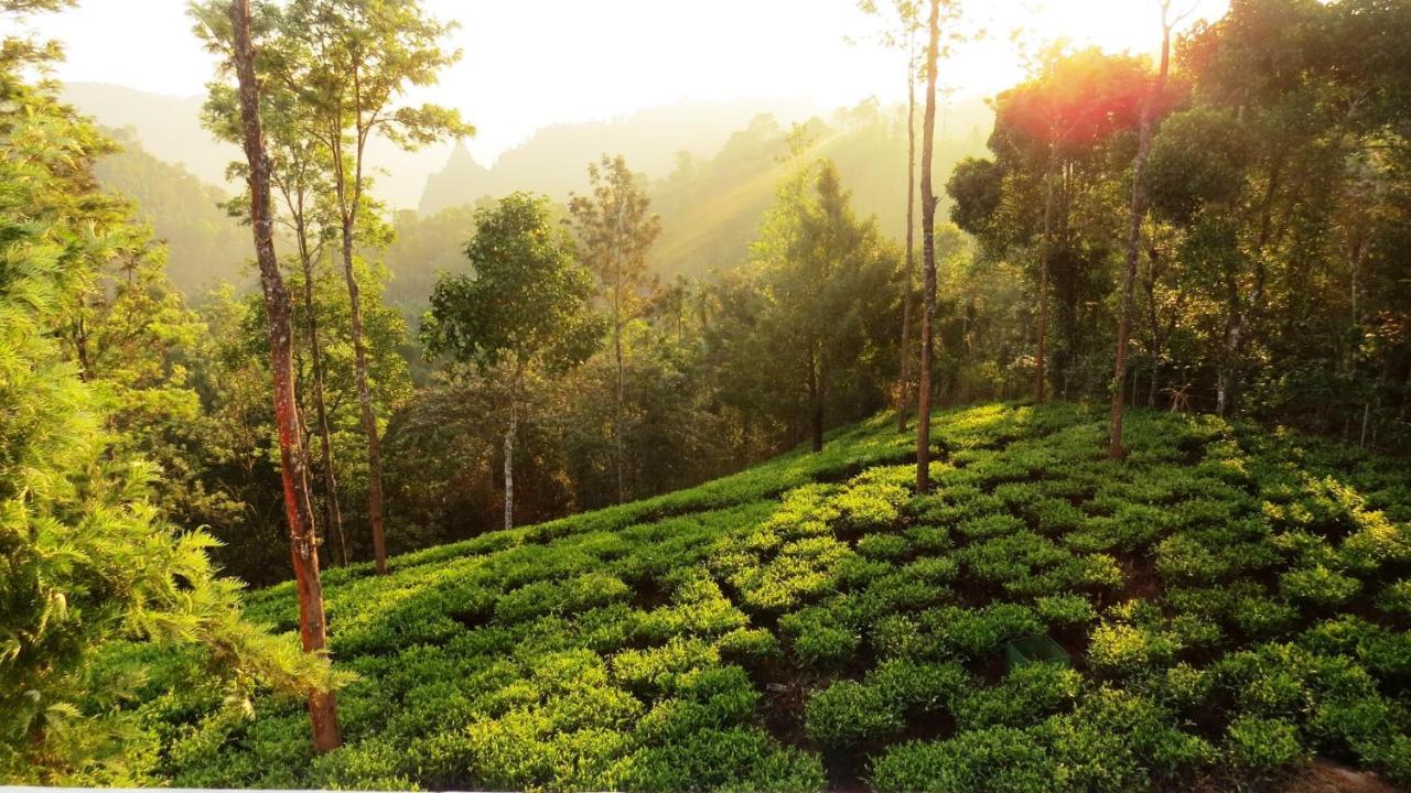Villa Tesori Homestay Wayanad Meppādi Exteriör bild